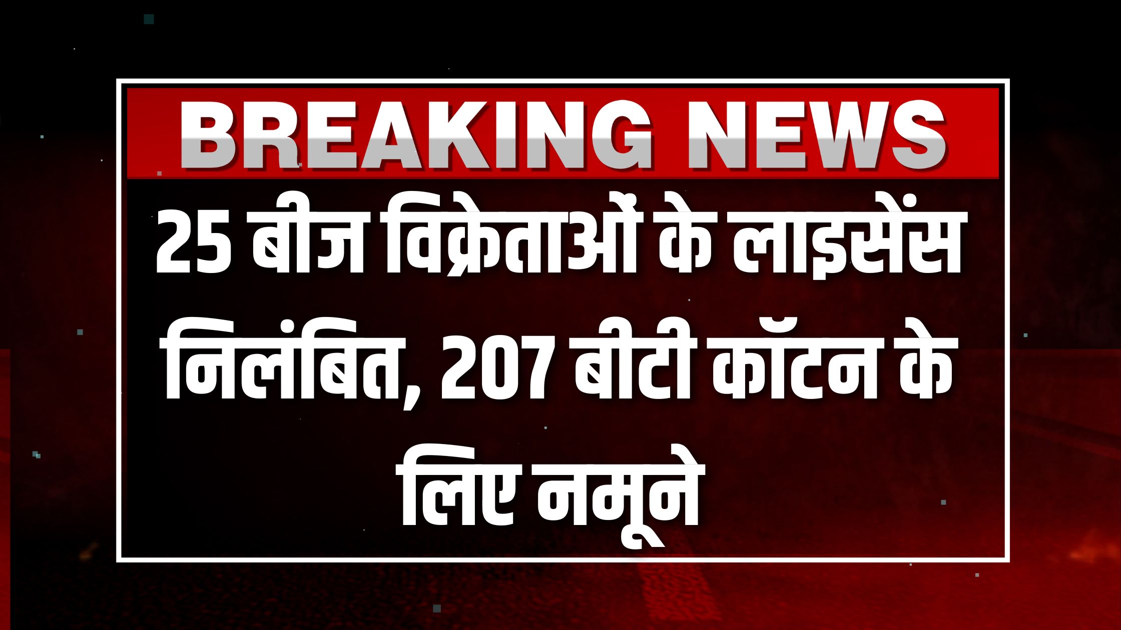 25 बीज विक्रेताओं के लाइसेंस निलंबित, 207 बीटी कॉटन के लिए नमूने