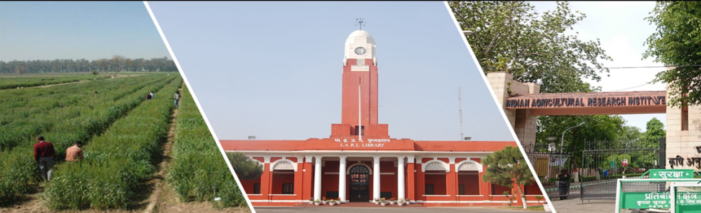 ICAR-Indian Agricultural Research Institute