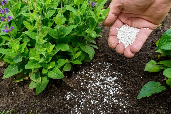 Fertilizing-plants