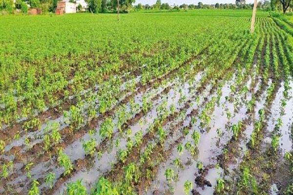 क्या इस बार आफत की बारिश साबित होगी