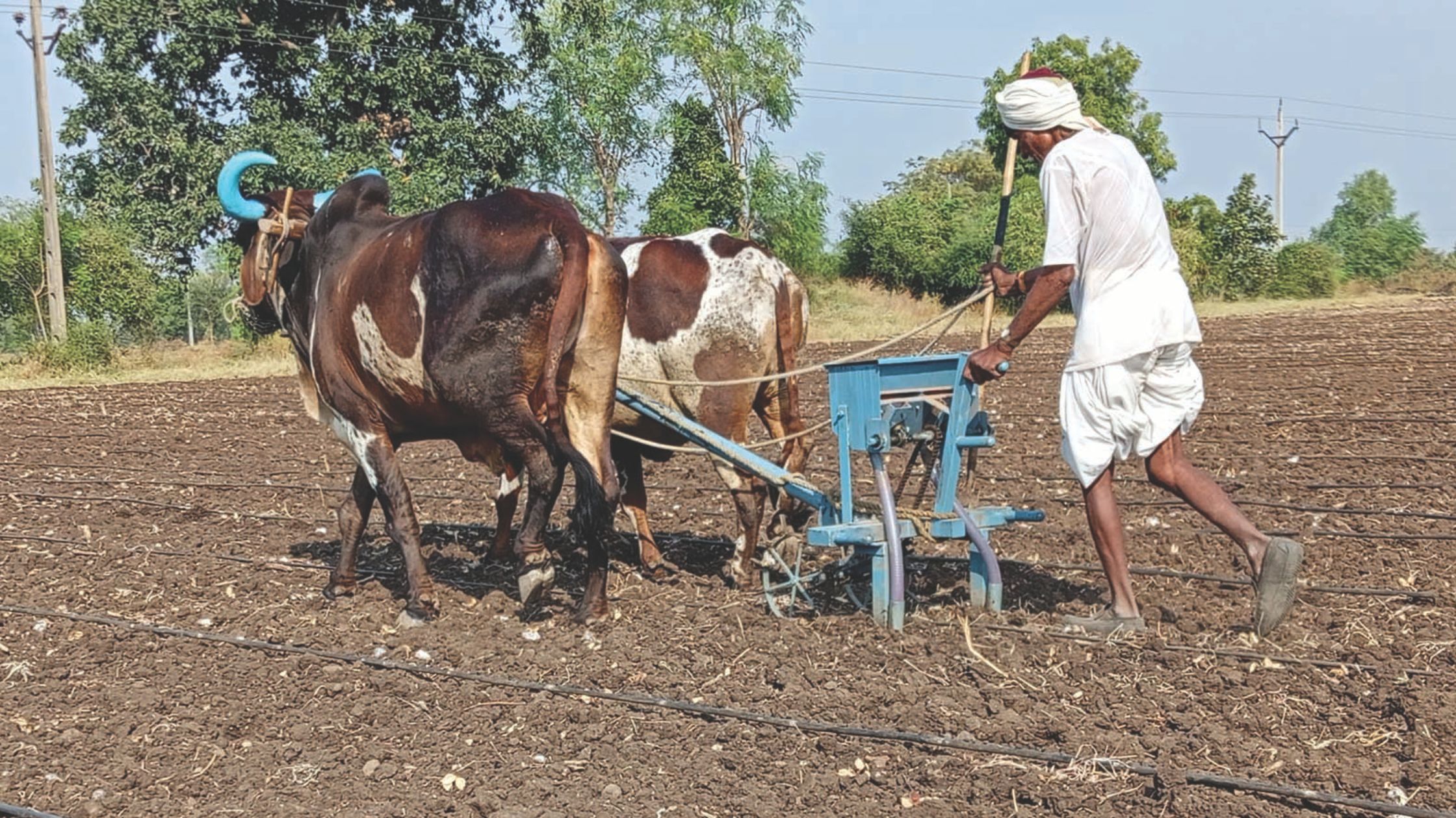 किसानों को बिना गारंटी के मिलेगा 2 लाख का लोन