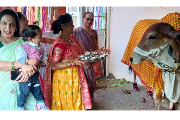 Cows baby shower organized according to customs and traditions