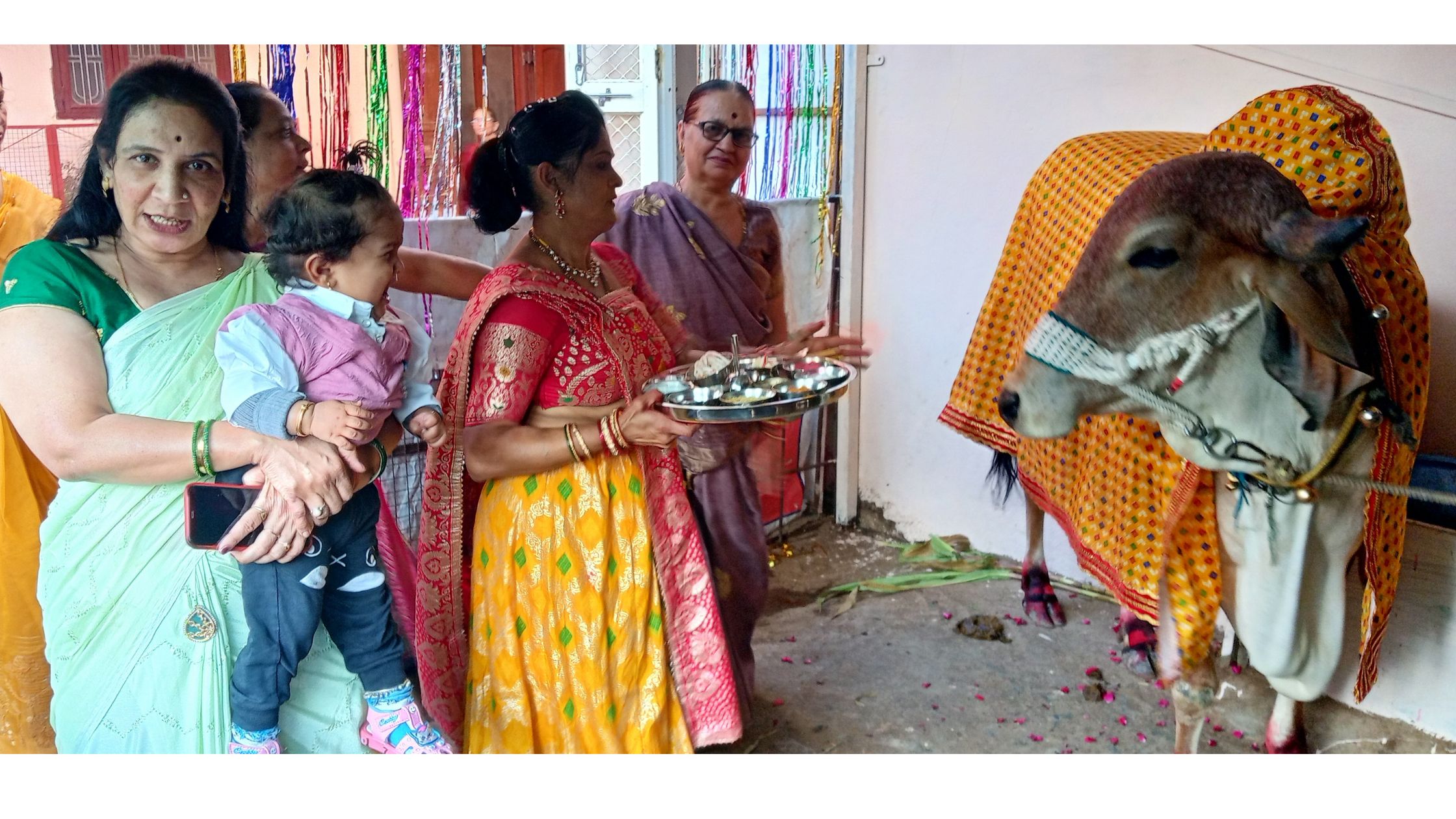 Cows baby shower organized according to customs and traditions