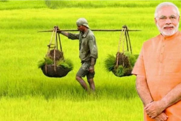 DAFW lists major achievements for farmers welfare