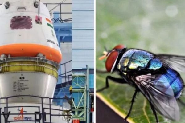 Flies will reach space through Gaganyaan not humans