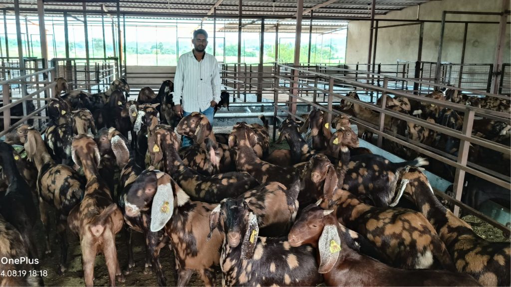 Sanjay set up a goat farm worth Rs 1 crore in Bhikharkhedi